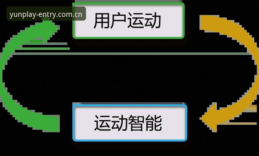 云体育高清画质 云体育高清画质技术解析与用户体验深度评测